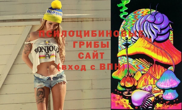 стафф Новокубанск