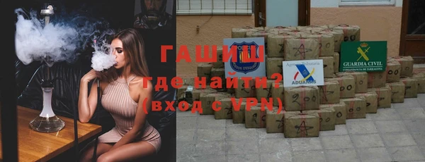 стафф Новокубанск