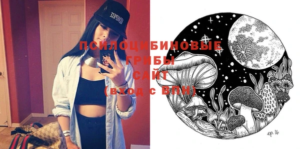 дмт Новозыбков