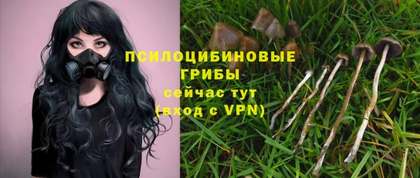 бошки Нефтегорск