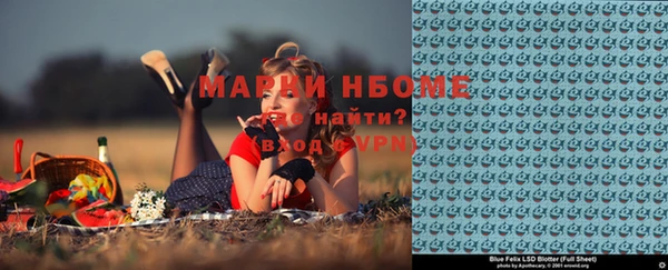 стафф Новокубанск
