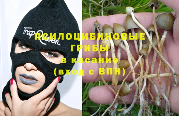 дмт Новозыбков