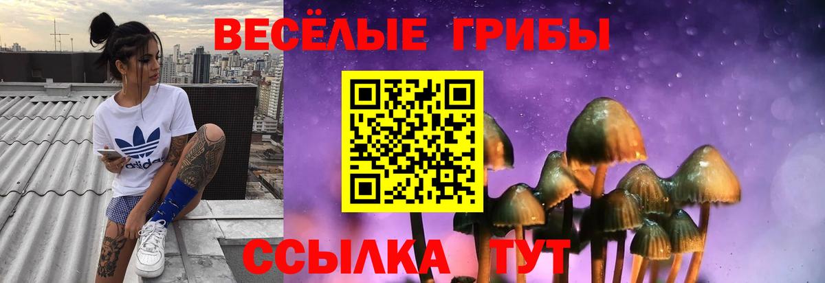 Псилоцибиновые грибы Magic Shrooms Майский